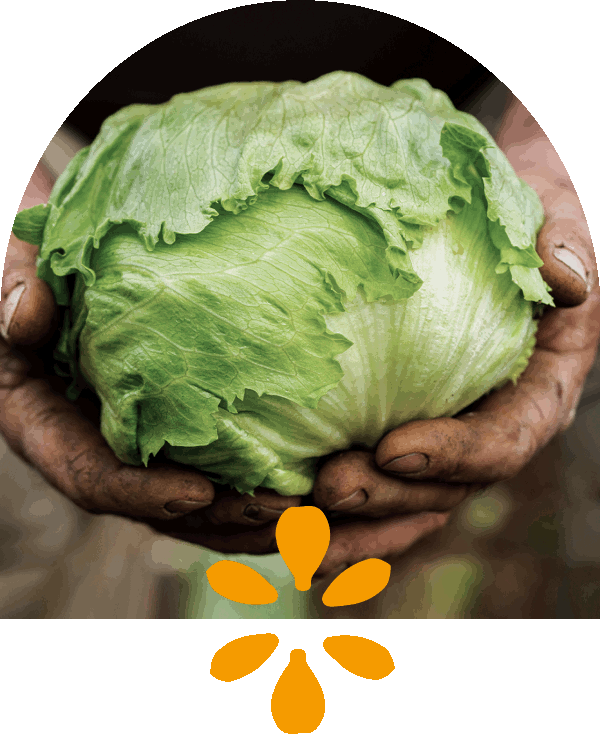 Immagine territorio Gruppo Leone